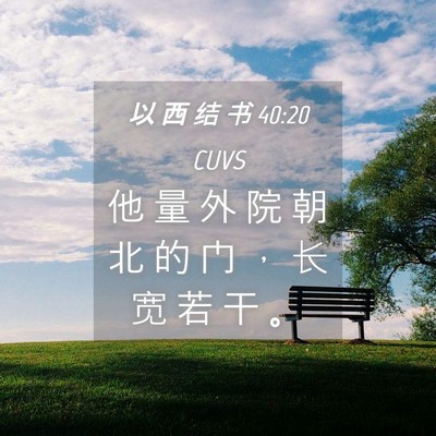 Picture 04 - 以 西 结 书 40:20 CUVS - 他 量 外 院 朝 北 的 门 ， 长 宽 若 - Bible Verse Picture