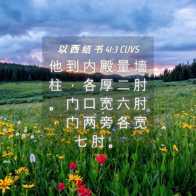 Picture 04 - 以 西 结 书 41:3 CUVS - 他 到 内 殿 量 墙 柱 ， 各 厚 二 肘 - Bible Verse Picture