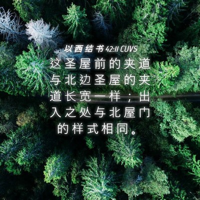 Picture 04 - 以 西 结 书 42:11 CUVS - 这 圣 屋 前 的 夹 道 与 北 边 圣 屋 - Bible Verse Picture