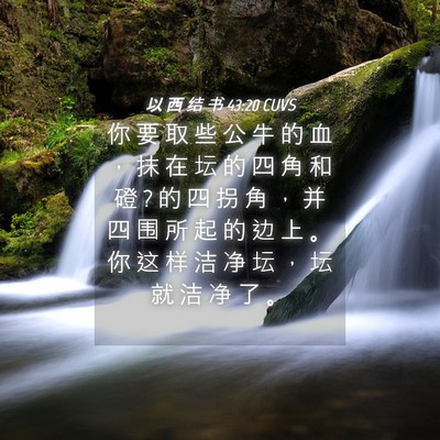 Picture 04 - 以 西 结 书 43:20 CUVS - 你 要 取 些 公 牛 的 血 ， 抹 在 坛 - Bible Verse Picture