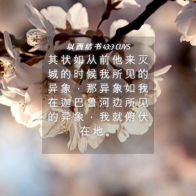 Picture 04 - 以 西 结 书 43:3 CUVS - 其 状 如 从 前 他 来 灭 城 的 时 候 - Bible Verse Picture