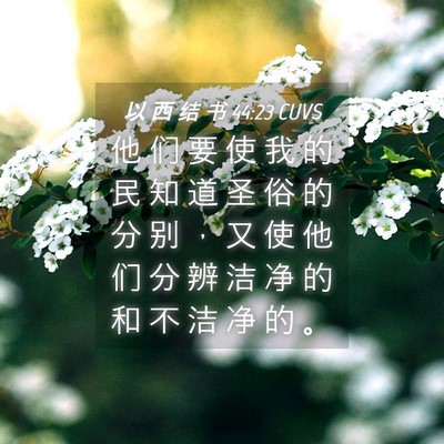 Picture 04 - 以 西 结 书 44:23 CUVS - 他 们 要 使 我 的 民 知 道 圣 俗 的 - Bible Verse Picture