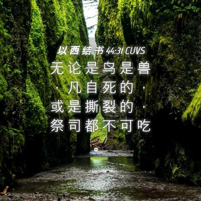 Picture 04 - 以 西 结 书 44:31 CUVS - 无 论 是 鸟 是 兽 ， 凡 自 死 的 ， - Bible Verse Picture