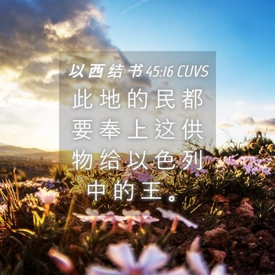 Picture 04 - 以 西 结 书 45:16 CUVS - 此 地 的 民 都 要 奉 上 这 供 物 给 - Bible Verse Picture