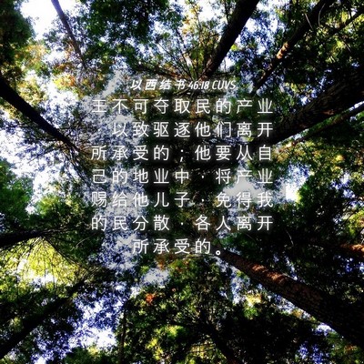 Picture 04 - 以 西 结 书 46:18 CUVS - 王 不 可 夺 取 民 的 产 业 ， 以 致 - Bible Verse Picture