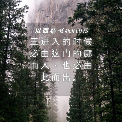 Picture 04 - 以 西 结 书 46:8 CUVS - 王 进 入 的 时 候 必 由 这 门 的 廊 - Bible Verse Picture