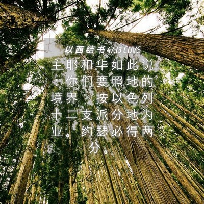 Picture 04 - 以 西 结 书 47:13 CUVS - 主 耶 和 华 如 此 说 ： 你 们 要 照 - Bible Verse Picture