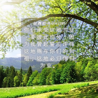 Picture 04 - 以 西 结 书 47:14 CUVS - 你 们 承 受 这 地 为 业 ， 要 彼 此 - Bible Verse Picture