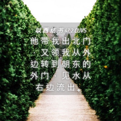 Picture 04 - 以 西 结 书 47:2 CUVS - 他 带 我 出 北 门 ， 又 领 我 从 外 - Bible Verse Picture