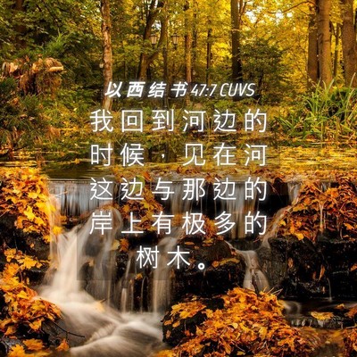 Picture 04 - 以 西 结 书 47:7 CUVS - 我 回 到 河 边 的 时 候 ， 见 在 河 - Bible Verse Picture