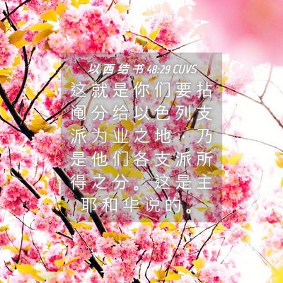 Picture 04 - 以 西 结 书 48:29 CUVS - 这 就 是 你 们 要 拈 阄 分 给 以 色 - Bible Verse Picture