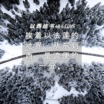 Picture 04 - 以 西 结 书 48:6 CUVS - 挨 着 以 法 莲 的 地 界 ， 从 东 到 - Bible Verse Picture