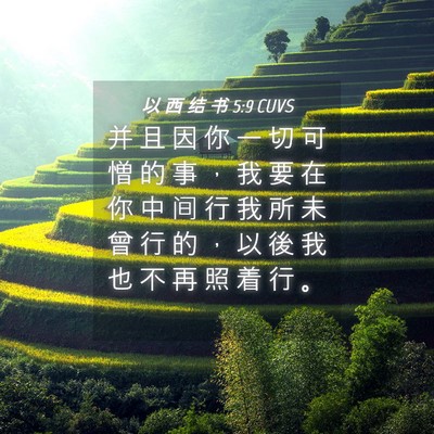 Picture 04 - 以 西 结 书 5:9 CUVS - 并 且 因 你 一 切 可 憎 的 事 ， 我 - Bible Verse Picture