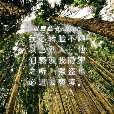 Picture 04 - 以 西 结 书 7:22 CUVS - 我 必 转 脸 不 顾 以 色 列 人 ， 他 - Bible Verse Picture