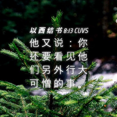 Picture 04 - 以 西 结 书 8:13 CUVS - 他 又 说 ： 你 还 要 看 见 他 们 另 - Bible Verse Picture