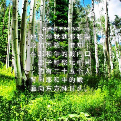 Picture 04 - 以 西 结 书 8:16 CUVS - 他 又 领 我 到 耶 和 华 殿 的 内 院 - Bible Verse Picture