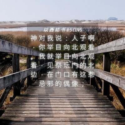 Picture 04 - 以 西 结 书 8:5 CUVS - 神 对 我 说 ： 人 子 啊 ， 你 举 目 - Bible Verse Picture