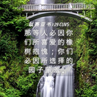 Picture 04 - 以 赛 亚 书 1:29 CUVS - 那 等 人 必 因 你 们 所 喜 爱 的 橡 - Bible Verse Picture