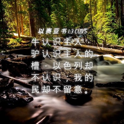 Picture 04 - 以 赛 亚 书 1:3 CUVS - 牛 认 识 主 人 ， 驴 认 识 主 人 的 - Bible Verse Picture