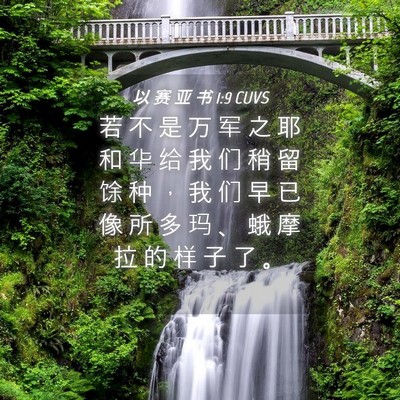 Picture 04 - 以 赛 亚 书 1:9 CUVS - 若 不 是 万 军 之 耶 和 华 给 我 们 - Bible Verse Picture