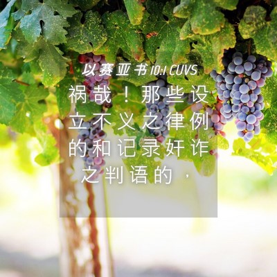 Picture 04 - 以 赛 亚 书 10:1 CUVS - 祸 哉 ！ 那 些 设 立 不 义 之 律 例 - Bible Verse Picture