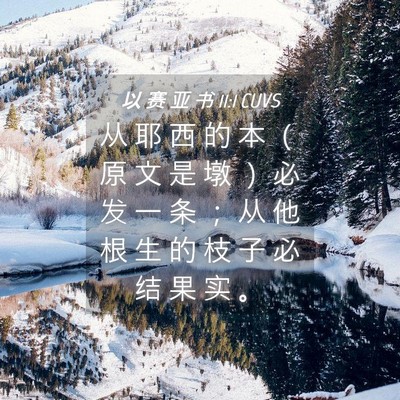 Picture 04 - 以 赛 亚 书 11:1 CUVS - 从 耶 西 的 本 （ 原 文 是 墩 ） 必 - Bible Verse Picture
