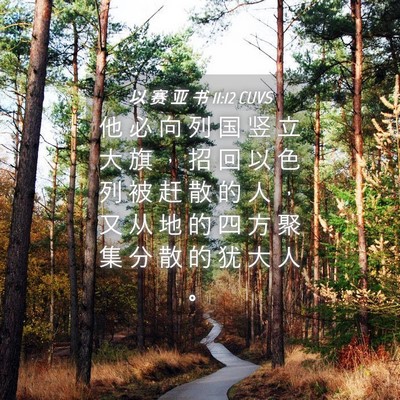 Picture 04 - 以 赛 亚 书 11:12 CUVS - 他 必 向 列 国 竖 立 大 旗 ， 招 回 - Bible Verse Picture