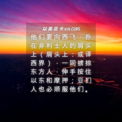 Picture 04 - 以 赛 亚 书 11:14 CUVS - 他 们 要 向 西 飞 ， 扑 在 非 利 士 - Bible Verse Picture