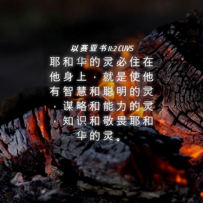 Picture 04 - 以 赛 亚 书 11:2 CUVS - 耶 和 华 的 灵 必 住 在 他 身 上 ， - Bible Verse Picture