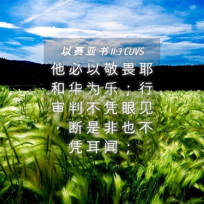 Picture 04 - 以 赛 亚 书 11:3 CUVS - 他 必 以 敬 畏 耶 和 华 为 乐 ； 行 - Bible Verse Picture