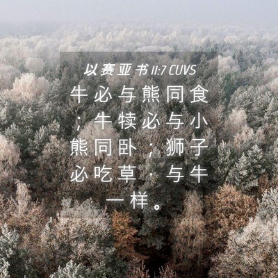 Picture 04 - 以 赛 亚 书 11:7 CUVS - 牛 必 与 熊 同 食 ； 牛 犊 必 与 小 - Bible Verse Picture