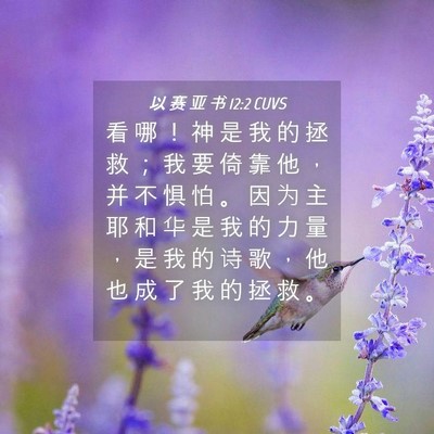 Picture 04 - 以 赛 亚 书 12:2 CUVS - 看 哪 ！ 神 是 我 的 拯 救 ； 我 要 - Bible Verse Picture