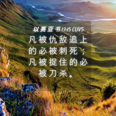 Picture 04 - 以 赛 亚 书 13:15 CUVS - 凡 被 仇 敌 追 上 的 必 被 刺 死 ； - Bible Verse Picture