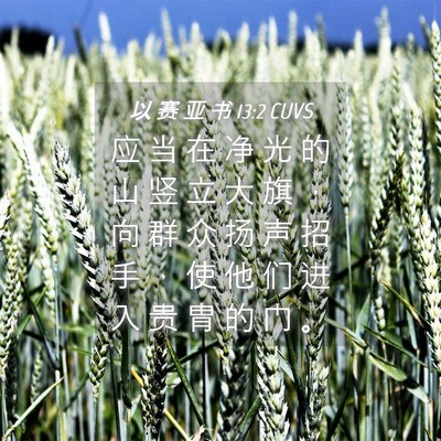 Picture 04 - 以 赛 亚 书 13:2 CUVS - 应 当 在 净 光 的 山 竖 立 大 旗 ， - Bible Verse Picture