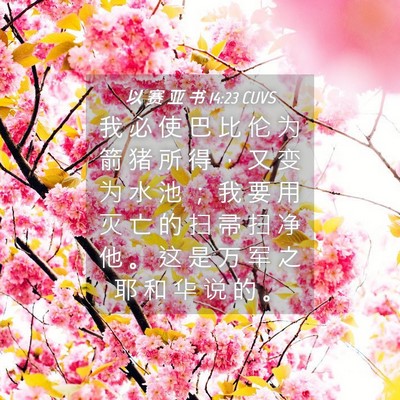 Picture 04 - 以 赛 亚 书 14:23 CUVS - 我 必 使 巴 比 伦 为 箭 猪 所 得 ， - Bible Verse Picture