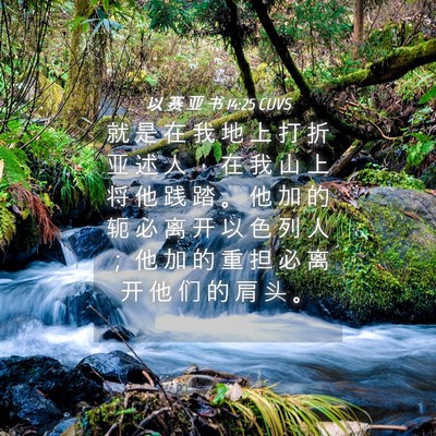 Picture 04 - 以 赛 亚 书 14:25 CUVS - 就 是 在 我 地 上 打 折 亚 述 人 ， - Bible Verse Picture