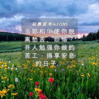 Picture 04 - 以 赛 亚 书 14:3 CUVS - 当 耶 和 华 使 你 脱 离 愁 苦 、 烦 - Bible Verse Picture