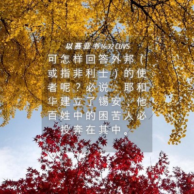 Picture 04 - 以 赛 亚 书 14:32 CUVS - 可 怎 样 回 答 外 邦 （ 或 指 非 利 - Bible Verse Picture