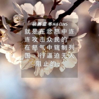 Picture 04 - 以 赛 亚 书 14:6 CUVS - 就 是 在 忿 怒 中 连 连 攻 击 众 民 - Bible Verse Picture