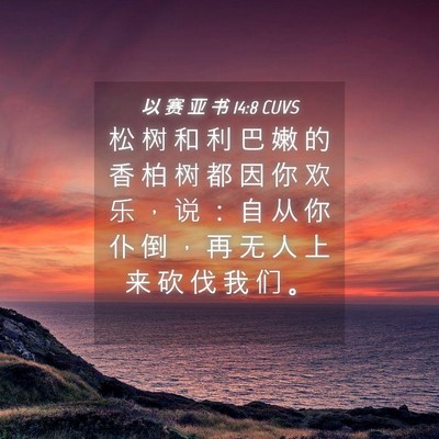 Picture 04 - 以 赛 亚 书 14:8 CUVS - 松 树 和 利 巴 嫩 的 香 柏 树 都 因 - Bible Verse Picture