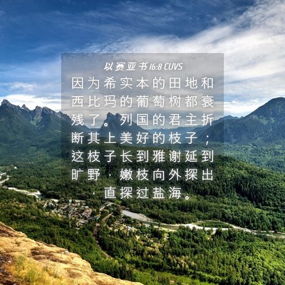Picture 04 - 以 赛 亚 书 16:8 CUVS - 因 为 希 实 本 的 田 地 和 西 比 玛 - Bible Verse Picture