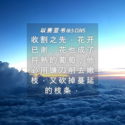 Picture 04 - 以 赛 亚 书 18:5 CUVS - 收 割 之 先 ， 花 开 已 谢 ， 花 也 - Bible Verse Picture
