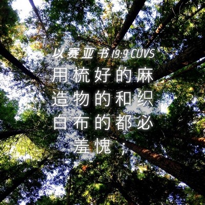Picture 04 - 以 赛 亚 书 19:9 CUVS - 用 梳 好 的 麻 造 物 的 和 织 白 布 - Bible Verse Picture