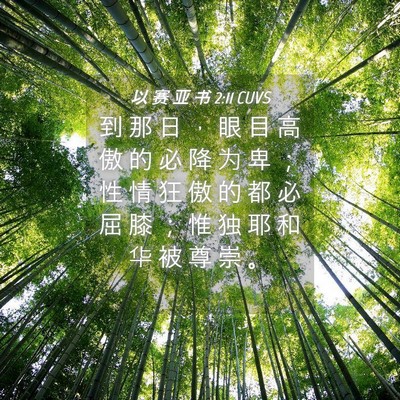 Picture 04 - 以 赛 亚 书 2:11 CUVS - 到 那 日 ， 眼 目 高 傲 的 必 降 为 - Bible Verse Picture