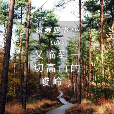Picture 04 - 以 赛 亚 书 2:14 CUVS - 又 临 到 一 切 高 山 的 峻 岭 - Bible Verse Picture