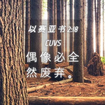 Picture 04 - 以 赛 亚 书 2:18 CUVS - 偶 像 必 全 然 废 弃 - Bible Verse Picture