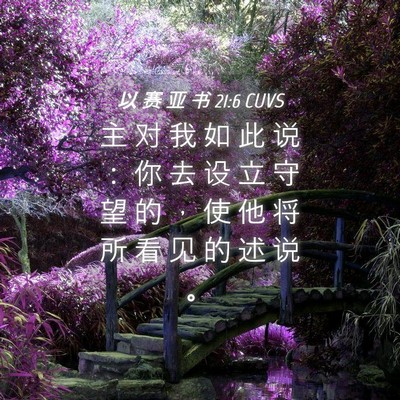 Picture 04 - 以 赛 亚 书 21:6 CUVS - 主 对 我 如 此 说 ： 你 去 设 立 守 - Bible Verse Picture
