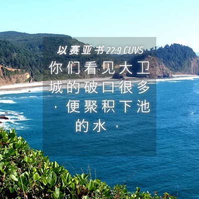 Picture 04 - 以 赛 亚 书 22:9 CUVS - 你 们 看 见 大 卫 城 的 破 口 很 多 - Bible Verse Picture