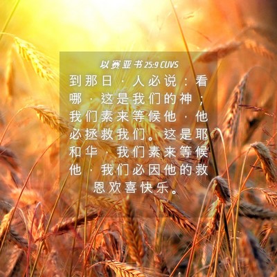 Picture 04 - 以 赛 亚 书 25:9 CUVS - 到 那 日 ， 人 必 说 ： 看 哪 ， 这 - Bible Verse Picture