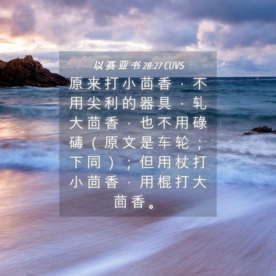 Picture 04 - 以 赛 亚 书 28:27 CUVS - 原 来 打 小 茴 香 ， 不 用 尖 利 的 - Bible Verse Picture